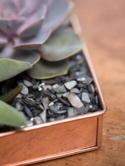 Rectangular Copper Plant Tray, 24" X 5" -Best Garden Care Shop 8593533 4570 tif