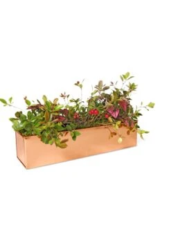 Tall Rectangular Copper Plant Tray, 18" X 5" X 4" -Best Garden Care Shop 8593534 2899 tif