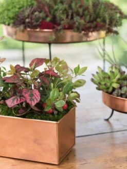 Tall Rectangular Copper Plant Tray, 18" X 5" X 4" -Best Garden Care Shop 8593564 4430 tif