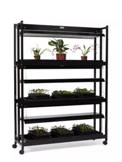 High Intensity 3-Tier SunLite® Garden -Best Garden Care Shop 8593944 1608 tif