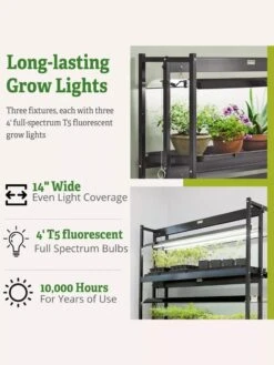 High Intensity 3-Tier SunLite® Garden -Best Garden Care Shop 8593944 6
