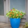 Viva Round Self-Watering Rolling Planter, 17.25” Diameter -Best Garden Care Shop 8594077 0087 tif