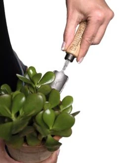 Gardener's Lifetime Mini Trowel -Best Garden Care Shop 8594146 0111 tif