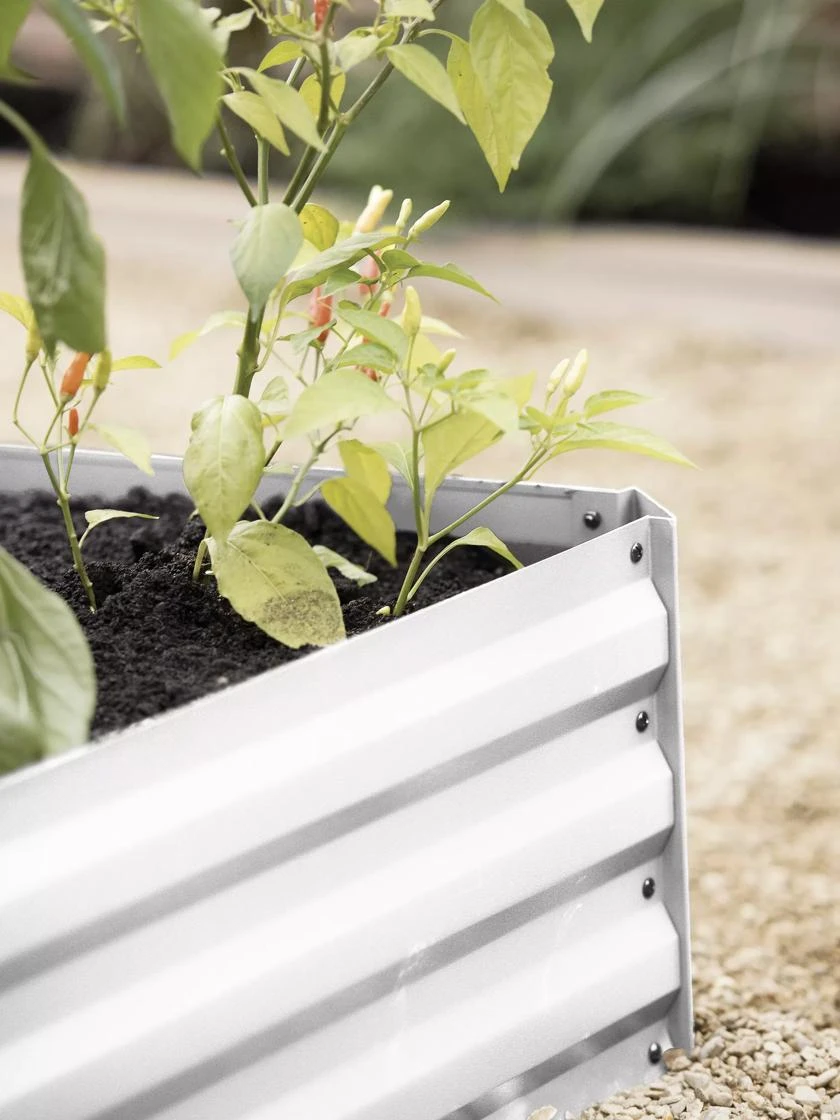 Demeter Corrugated Metal Raised Bed, 34" X 34" 8 Demeter Corrugated Metal Raised Bed, 34" X 34" - Image 6