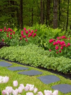 Recycled Rubber Flagstone Stepping Stone -Best Garden Care Shop 8594282 518 tif