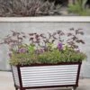 Short Galvanized Self-Watering Trough Planter -Best Garden Care Shop 8594329 5064 tif