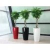 Lechuza® Rondo Self-Watering Planters -Best Garden Care Shop 8594586 01V tif