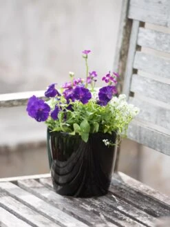 Viva Round Self-Watering Planter, 7" Diameter 11 Viva Round Self-Watering Planter, 7" Diameter -Best Garden Care Shop 8595222 1140 tif