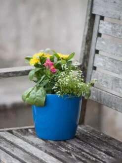 Viva Round Self-Watering Planter, 7" Diameter 9 Viva Round Self-Watering Planter, 7" Diameter -Best Garden Care Shop 8595222 1143 tif