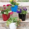 Viva Round Self-Watering Planter, 7" Diameter 1 Viva Round Self-Watering Planter, 7" Diameter -Best Garden Care Shop 8595222 5302 tif