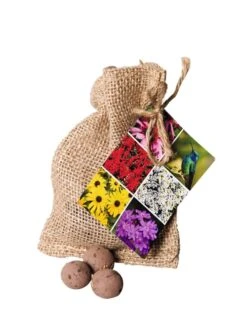 Wildflower Seed Balls