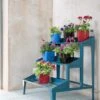 Demeter Plant Stand -Best Garden Care Shop 8595739 5342 tif