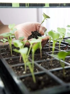 LED Stack-n-Grow Lights - Base Unit -Best Garden Care Shop 8595770 7373 tif