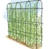 Titan Pea Tunnel -Best Garden Care Shop 8596275 0002 1 tif