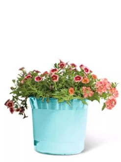 Eezy Gro Self-Watering Planters 14 Eezy Gro Self-Watering Planters -Best Garden Care Shop 8596426 103 tif
