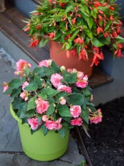 Eezy Gro Self-Watering Planters 11 Eezy Gro Self-Watering Planters -Best Garden Care Shop 8596427 0034 tif