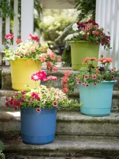 Eezy Gro Self-Watering Planters 13 Eezy Gro Self-Watering Planters -Best Garden Care Shop 8596427 8090 tif