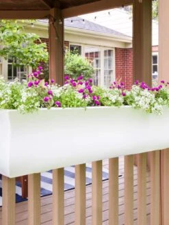 Valencia Window Box, 4' -Best Garden Care Shop 8596437 006V tif