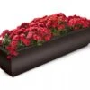 Valencia Window Box, 4' 1 Valencia Window Box, 4' -Best Garden Care Shop 8596437 10V tif