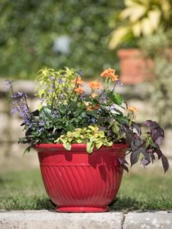 Mazzano Self-Watering Planters -Best Garden Care Shop 8596564 4883 tif
