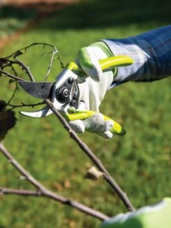 Gardener's Pro Pruner #2 -Best Garden Care Shop 8596605 032 tif