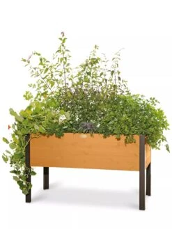 Eco-Stained Elevated Planter Box, 2'x4' 17 Eco-Stained Elevated Planter Box, 2'x4' -Best Garden Care Shop 8596759 101 tif