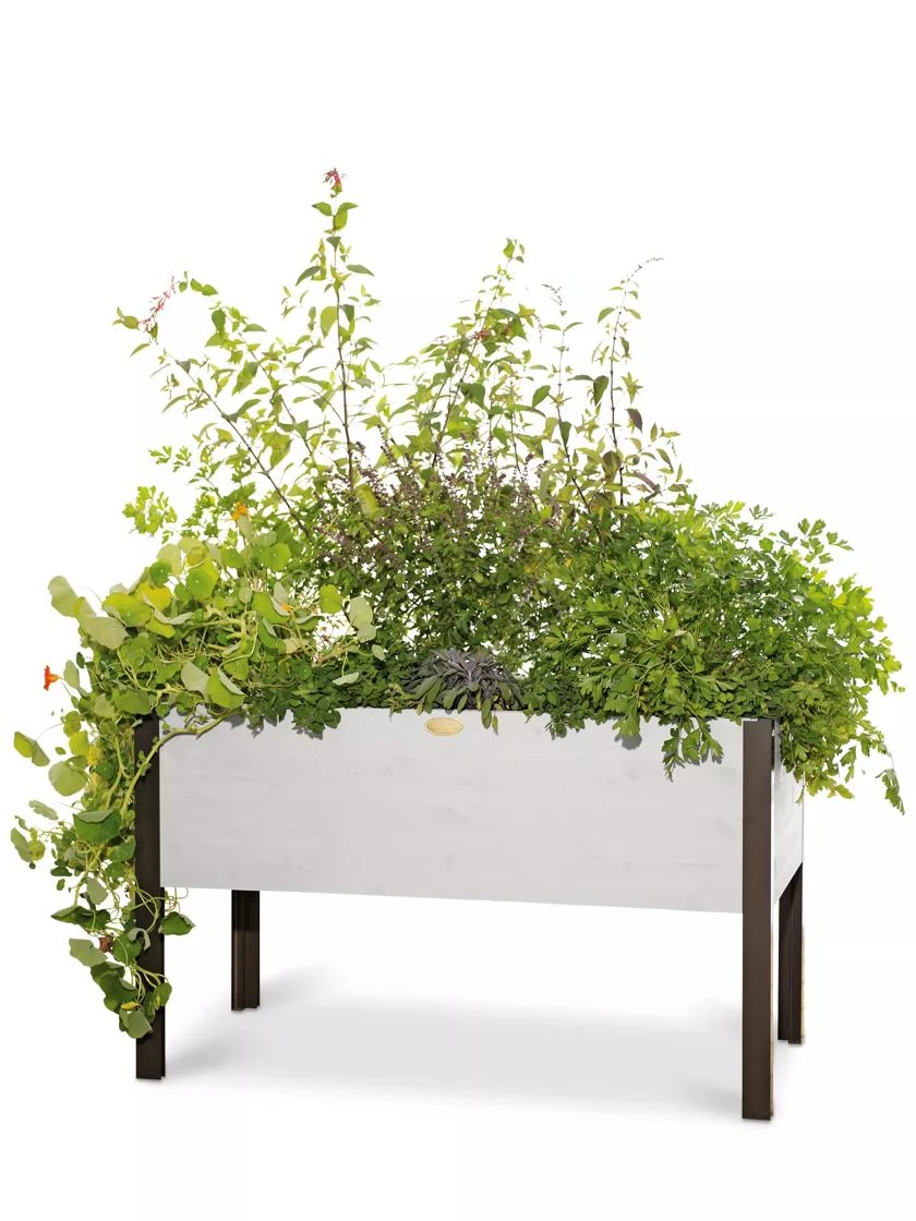 Eco-Stained Elevated Planter Box, 2'x4' 8 Eco-Stained Elevated Planter Box, 2'x4' - Image 6