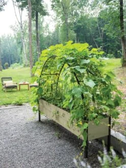 Eco-Stained Elevated Planter Box, 2'x8' 18 Eco-Stained Elevated Planter Box, 2'x8' -Best Garden Care Shop 8596760 0046 tif 1