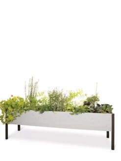 Eco-Stained Elevated Planter Box, 2'x8' 21 Eco-Stained Elevated Planter Box, 2'x8' -Best Garden Care Shop 8596760 102 tif