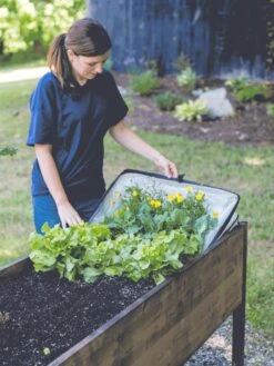 Pop-Up Crop Protector -Best Garden Care Shop 8596763 EasyCropProtector gif