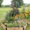 Pollinator Garden Bed -Best Garden Care Shop 8597000 4103 tif