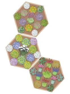 Pollinator Garden Bed -Best Garden Care Shop 8597000 Hummingbird Plan tif