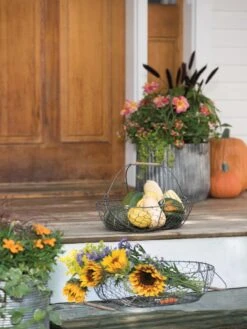 Galvanized Rim Planters 11 Galvanized Rim Planters -Best Garden Care Shop 8597379 1625 tif