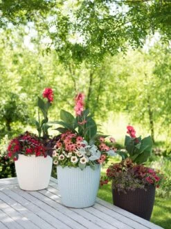 Weave Self-Watering Round Planter, 14" 6 Weave Self-Watering Round Planter, 14" -Best Garden Care Shop 8597388 2141 tif