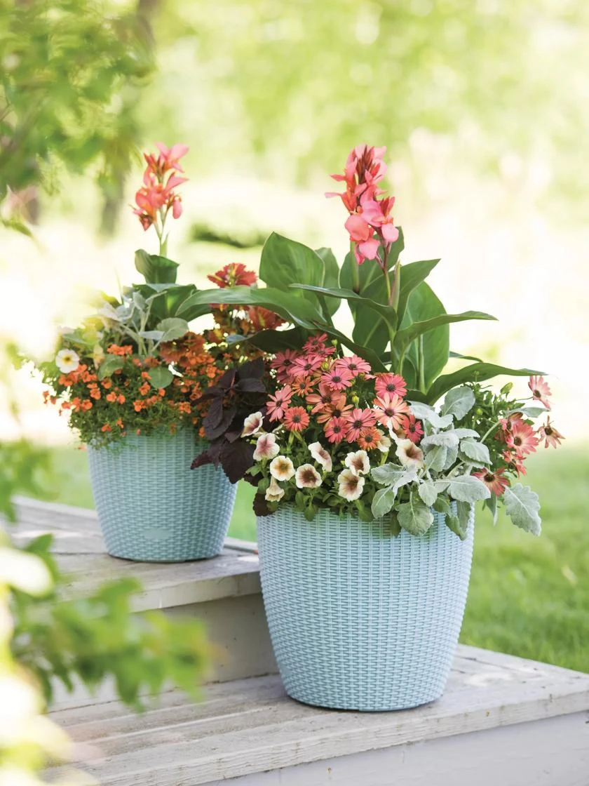 Weave Self-Watering Round Planter, 14" 3 Weave Self-Watering Round Planter, 14"