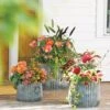 Galvanized Ribbed Planters -Best Garden Care Shop 8597436 1680 tif