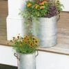 Galvanized Rim Planters 1 Galvanized Rim Planters -Best Garden Care Shop 8597442 1700 tif
