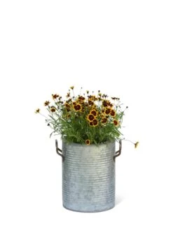 Galvanized Rim Planters 12 Galvanized Rim Planters -Best Garden Care Shop 8597442 1705 tif