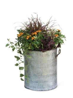 Galvanized Rim Planters 13 Galvanized Rim Planters -Best Garden Care Shop 8597443 1704 tif