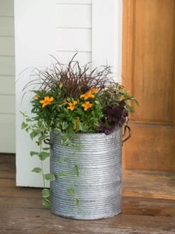 Galvanized Rim Planters 10 Galvanized Rim Planters -Best Garden Care Shop 8597443 1708 tif