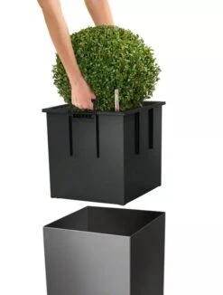 Lechuza® Cube Premium Planters 10 Lechuza® Cube Premium Planters -Best Garden Care Shop 8597506 04V tif