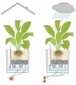 Lechuza® Cube Premium Planters 11 Lechuza® Cube Premium Planters -Best Garden Care Shop 8597506 05V tif
