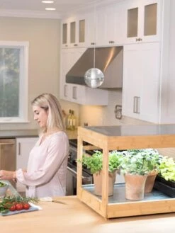 Low Bamboo LED Grow Light Garden 24 Low Bamboo LED Grow Light Garden -Best Garden Care Shop 8597720 0816 tif