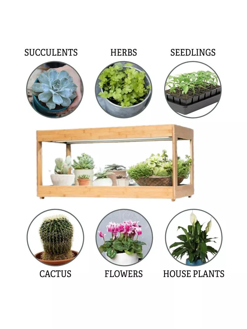 Low Bamboo LED Grow Light Garden 8 Low Bamboo LED Grow Light Garden - Image 6