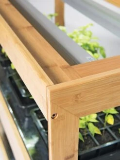 Bamboo Display LED Grow Light Garden -Best Garden Care Shop 8597720 7795 tif