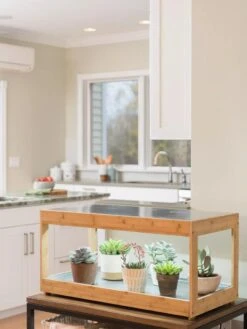 Low Bamboo LED Grow Light Garden 23 Low Bamboo LED Grow Light Garden -Best Garden Care Shop 8597720 9385 tif