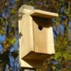 Eastern Bluebird Joy Box Bird House -Best Garden Care Shop 8597754 01V tif