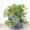 Stacking Strawberry Pot 2 Stacking Strawberry Pot -Best Garden Care Shop 8597996 9004 tif