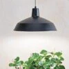 Barnyard Pendant LED Grow Light -Best Garden Care Shop 8598025 8139 tif