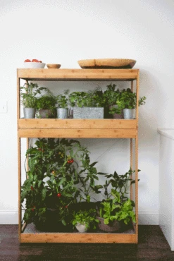 Bamboo Home LED Grow Light Garden 18 Bamboo Home LED Grow Light Garden -Best Garden Care Shop 8598088 BambooLEDHomeGarden light gif